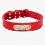 Collier Chien Personnalisé Cuir Camaïeu en couleur rouge chic