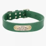 Collier Chien Personnalisé Cuir Camaïeu vert