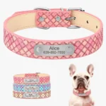 collier-chien-personnalise-reseau-colore 3 couleurs pour grands chiens et petits chiens