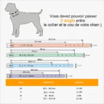 Guide de tailles de Collier Pour Chien Personnalisé Cristo