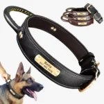 Un Berger Allemand portant le Collier Chien Cuir Personnalisé à Poignée noir