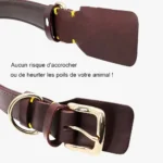 Collier Chien Cuir Personnalisé à Poignée de haute qualité