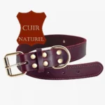 Collier Chien Personnalisé Cuir Camaïeu en cuir de haute qualité