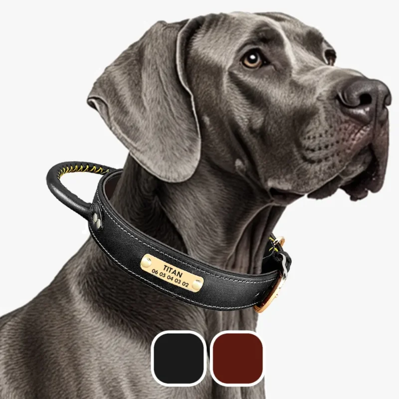 Collier Chien Cuir Personnalisé à Poignée marron et noir avec 3 tailles pour grands chiens et petits chiens