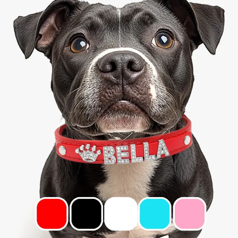 Collier Pour Chien Personnalisé Cristo 5 couleurs 4 tailles