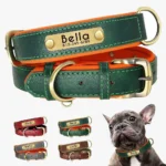 Collier personnalisé Bella pour chien, élégant et coloré, idéal pour bulldogs et autres races.