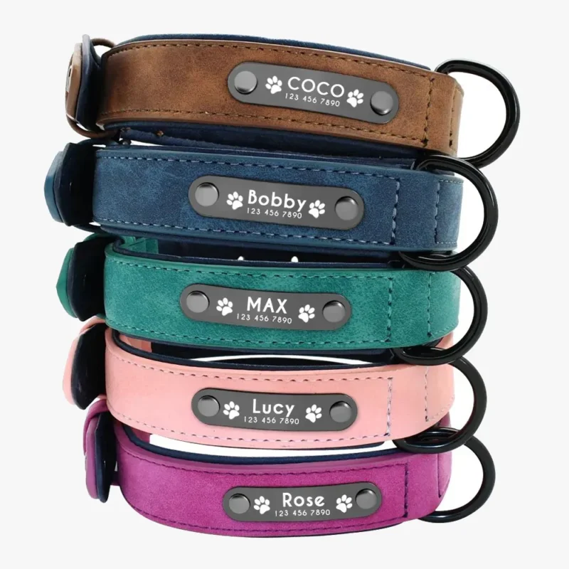 Détails de la plaquette avec le nom du Collier Chien Personnalisé Daim Beauty