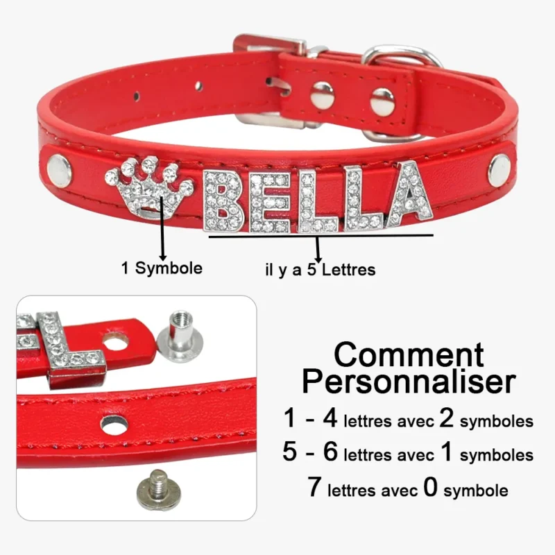Détails des symboles et du nom sur le Collier Pour Chien Personnalisé Cristo