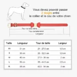 guide de taille Collier Chien Personnalisé Poli