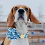 Beagle curieux avec collier fleuri et papillons dans un parc ensoleillé.