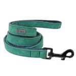 Laisse en cuir turquoise élégante et durable, parfaite pour promener votre chien avec style.