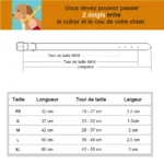 Guide de taille pour colliers de chien : ajustement facile et précis pour votre compagnon.