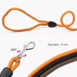 Laisse pour chien orange durable avec clip carabine sécurisé, idéale pour promenades actives.