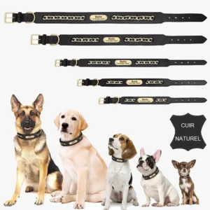 Collier Chien Personnalisé Cuir Punk de haute qualité, adapté aux grands et petits chiens