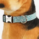 Collier Chien Personnalisé Flora couleur vert avec motifs gris.