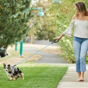 Femme en été promenant son chien dans un parc verdoyant, moment de joie partagé.