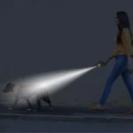 Femme promenant son chien la nuit avec lampe torche, moment de sérénité et sécurité.