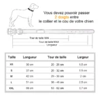 Guide pratique pour choisir la taille de collier pour chien selon ses mesures.