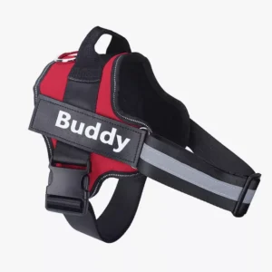 Harnais de chien rouge et noir Buddy avec bandes réfléchissantes pour sécurité et confort.