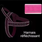 Harnais chien violet personnalisé avec bandes réfléchissantes pour confort et sécurité, style moderne.