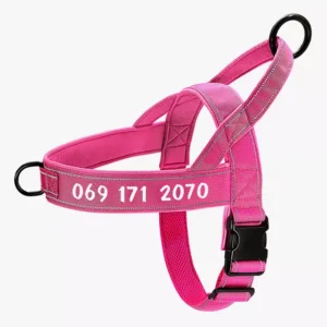 Harnais rose pour chien, durable et élégant, offrant confort et sécurité lors des promenades.