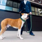 Professionnel en costume avec chien élégant dans un cadre urbain moderne.