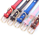 Ceinture colorée brillante avec boucles dorées, idéale pour accessoires mode ou colliers pour animaux.