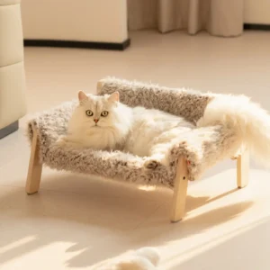 Chat blanc détendu sur un coussin moderne dans un intérieur contemporain et accueillant.