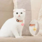 Chat blanc adorable avec collier rose, charmant et câlin, sur fond doux.