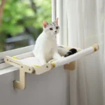 Un chat blanc détendu dans un hamac ensoleillé, observant un jardin verdoyant.