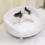 Un chat détendu dans un lit douillet blanc sur un tapis moelleux.