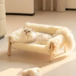 Chat blanc moelleux se repose sur un coussin dans une lumière douce et accueillante.