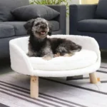 Chien heureux dans un lit design moderne, salon lumineux et accueillant.