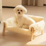 Chien fluffy heureux sur un lit confortable, ambiance sereine et chaleureuse.