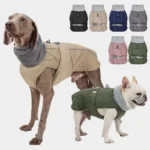 Chiens en manteaux élégants, Weimaraner et Bulldog Français, prêts pour lhiver.