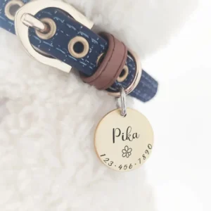 Collier bleu pour animal avec médaillon Pika personnalisé et contact, élégant et pratique.