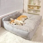 Corgi endormi sur un lit douillet gris, ambiance chaleureuse et apaisante.