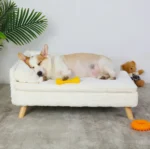 Corgi dormant sur son lit confortable avec un jouet jaune et une ambiance chaleureuse.