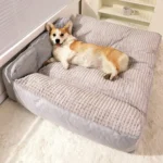 Corgi heureux se reposant dans un lit douillet et confortable, ambiance chaleureuse.