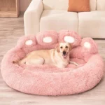 Chien heureux sur un coussin rose dans un salon moderne et accueillant.