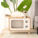 Perchoir moderne pour chat avec rangement et plantes, élégant et confortable.