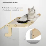 Perchoir en bois pour chat, confortable et sécurisé, idéal pour optimiser lespace vertical.