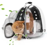 Caisse de transport moderne pour chat avec design élégant et confort optimal en voyage.