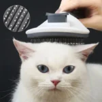 Chat blanc calme se faisant brosser, yeux bleus, avec une brosse moderne et ergonomique.