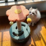 Chat curieux jouant avec un arbre à chat floral coloré dans un intérieur lumineux.