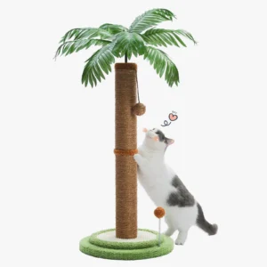 Un chat joue avec un arbre à griffer en forme de palmier et un jouet.