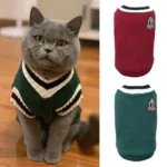 Chat British Shorthair mignon en pull stylé sur un sol en bois dans un intérieur chaleureux.