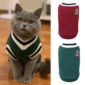 Chat British Shorthair mignon en pull stylé sur un sol en bois dans un intérieur chaleureux.