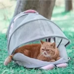 Chat orange détendu dans un transporteur en forme de tente dans un jardin ensoleillé.