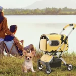 Couple détendu au bord du lac avec un Chihuahua et une poussette pour chien.